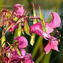 ����� ������.. ������) �� ������� ���� ����������