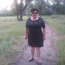  ,  , 66  -  30  2016