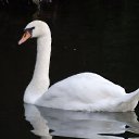 ���� Ilyas, ������, 43 ���� - ��������� 10 ������� 2016 � ������ ���� ����������