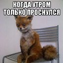 ���� �������, ������������ - ��������� 31 ������� 2016 � ������ ���� ����������