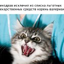 ���� ����������, ������, 33 ���� - ��������� 17 ��� 2016 � ������ �������-������