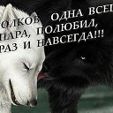 ���� �����, ������, 51 ��� - ��������� 24 ����� 2016 � ������ ������ ��������