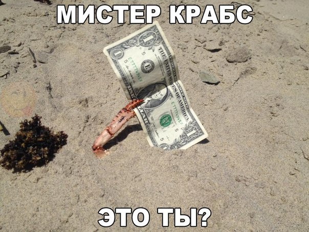    :D - 8  2016  12:31