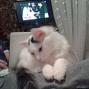 ���� Ivan, ������� - ��������� 17 ������� 2016