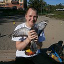 ���� �������, �����������, 40 ��� - ��������� 8 ��� 2016 � ������ ���� ����������