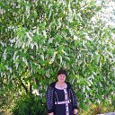 ���� �������, �����, 61 ��� - ��������� 27 ��� 2016 � ������ ���� ����������