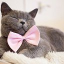���� ������ - ����� �������!������� - ������ �������!�� ������� -�� ��� �������!�����!!! ������� ��� ������ ���...!))) �� ������� ������ ��������