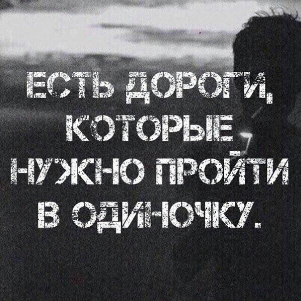   -  ,  -  - 11  2016  06:05