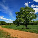 ����� ������ ������... �� ������� �������� �������