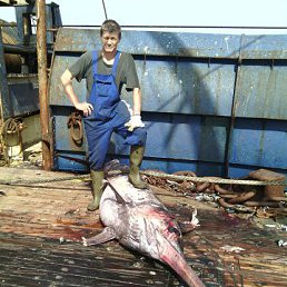 ���� ���������, �����������, 71 ��� - ��������� 10 ��� 2016