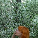  , , 45  -  10  2016      ))