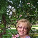 ���� �����, ��������, 66 ��� - ��������� 29 ���� 2016 � ������ ���� ����������