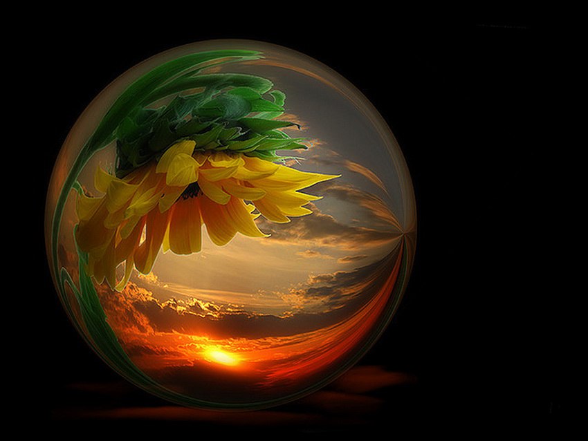 ������� � ����� ����-��������� ���� �����. - 3