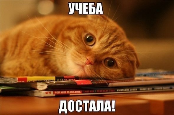 �������� ������ � ������ - 6 ������ 2016 � 16:21