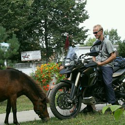 ���� ��������, ������, 59 ��� - ��������� 20 ���� 2016