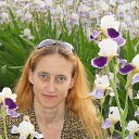 ���� ����, ���������, 46 ��� - ��������� 8 ���� 2016 � ������ ���� ����������