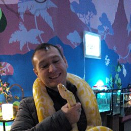 ���� �������, ������������, 51 ��� - ��������� 23 ������ 2016