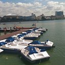 ���� ��������, ���������� �����, 43 ���� - ��������� 17 ������� 2016 � ������ �����(������,������,���������) 2016�