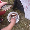 ���� ������, �����, 44 ���� - ��������� 19 ���� 2016 � ������ ���� ����������