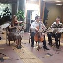   , , 52  -  13  2016   ߻