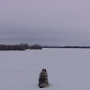 ����� �� ������� ���� ����������