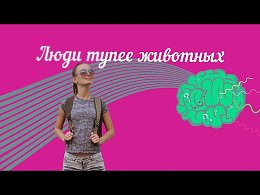 ���������.