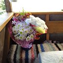 ���� ������, �����-��������� - ��������� 24 ������ 2016 � ������ ���� ����������