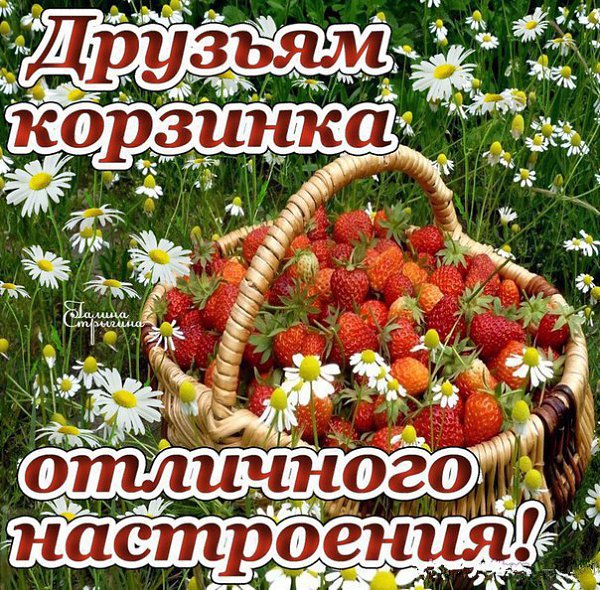 �������� - 14 ���� 2016 � 07:29