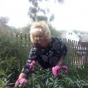 ���� �����, �������, 68 ��� - ��������� 12 ���� 2016 � ������ ���� ����������