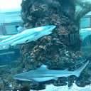 ���� Marina, �����, 46 ��� - ��������� 9 ������ 2016 � ������ ���� ����������