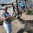 ���� ������, ������, 59 ��� - ��������� 25 ������� 2016 � ������ ���� ����������