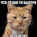 ���� �����, ����������, 62 ���� - ��������� 11 ���� 2016 � ������ ���� ����������