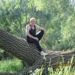 ��������, �����-��������, 62 ����