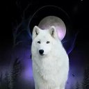 ���� ����, ����������, 48 ��� - ��������� 3 �������� 2016 � ������ ���� ����������