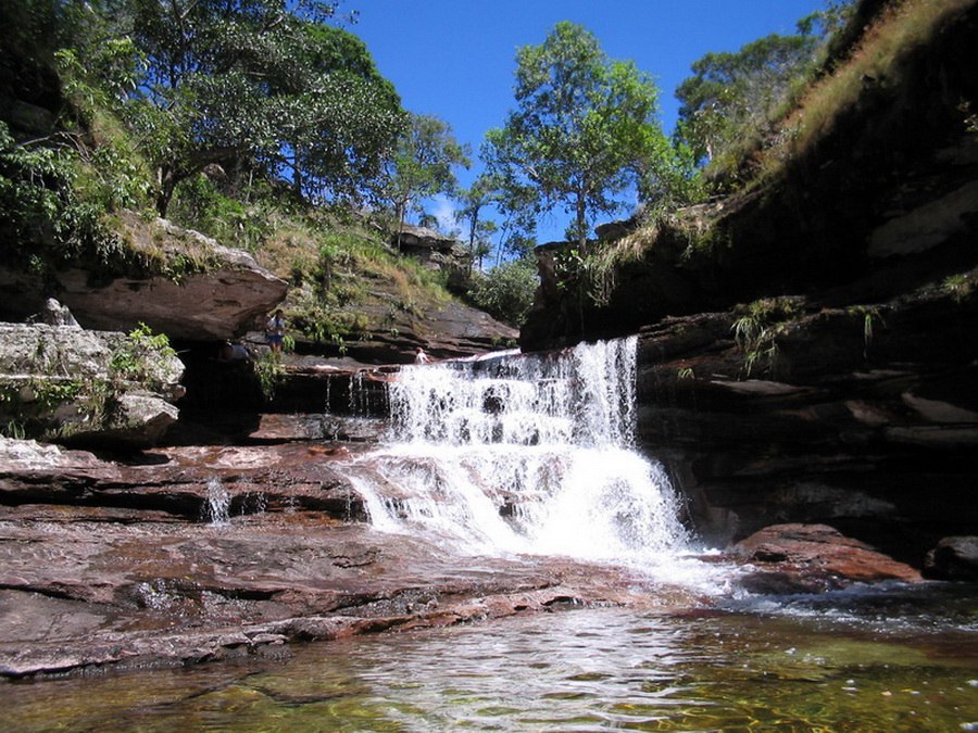 -      .- (Cao Cristales   ), ... - 10