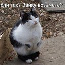 ���� ������, ���������, 60 ��� - ��������� 12 ��� 2016 � ������ ������ ��������