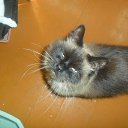 ���� �����, ����������, 41 ��� - ��������� 23 ���� 2016 � ������ ���� ����������