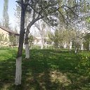 ���� �����, �����-���������, 52 ���� - ��������� 14 ������ 2016 � ������ ����