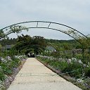      (Giverny)   .    (Giverny)