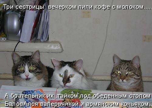       - 28  2016  14:05
