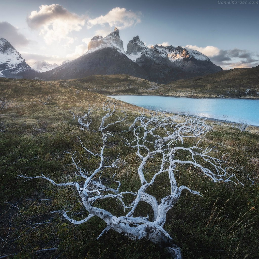      Daniel Kordan - 3