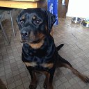 ���� �������, ����������, 58 ��� - ��������� 16 ��� 2016 � ������ ���� ������