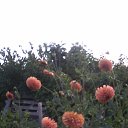 ���� ������, �����, 55 ��� - ��������� 6 ������� 2016 � ������ ���� ����������