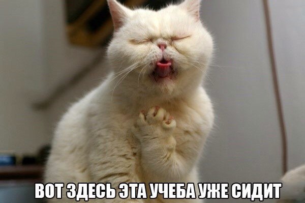    :D - 17  2016  19:40