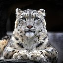 ���� ���������, ������ ��������, 46 ��� - ��������� 10 ���� 2016 � ������ ������ ��������
