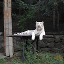 ���� �����, �����������, 51 ��� - ��������� 20 ���� 2016 � ������ ���� ����������