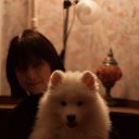 ���� �����, ������, 61 ��� - ��������� 26 ����� 2016 � ������ ���� ����������