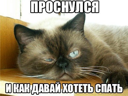 �������� ���� - 21 ����� 2016 � 00:30