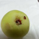  , , 45  -  17  2016    ..