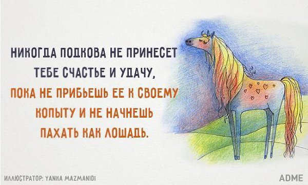  - 6  2016  05:17